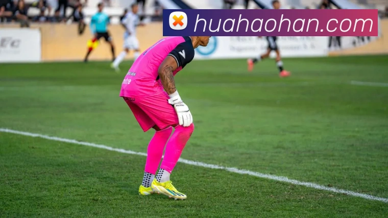 乐球直播免费观看高清版服务体系